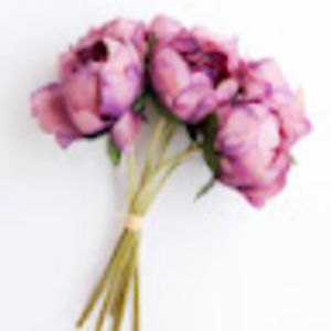 Meet your Posher, Karina